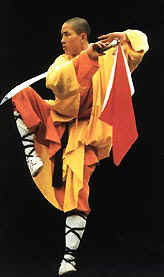 Shaolin sword stance/ Shoalin kicking